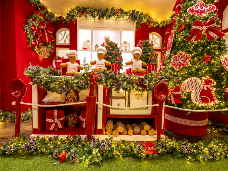 Foto: Heudes Regis/especial para Recife Recife