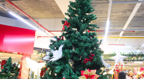 Close-up de uma grande &aacute;rvore de Natal (2,70m - R$ 1.495) decorada com poins&eacute;tias vermelhas, folhas brancas e azevinhos.