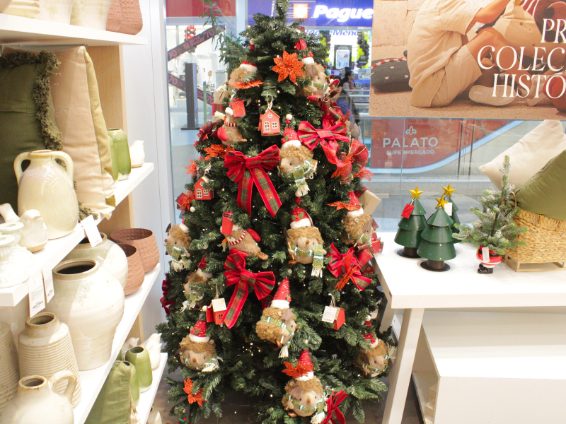 Foto: Camile Barros/RioMar Recife