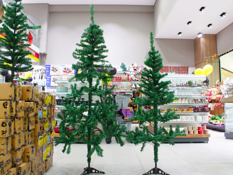 Foto: Camile Barros/RioMar Recife