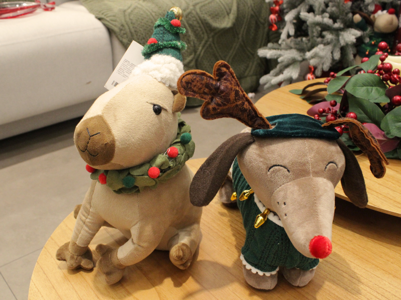 Foto: Camile Barros/RioMar Recife