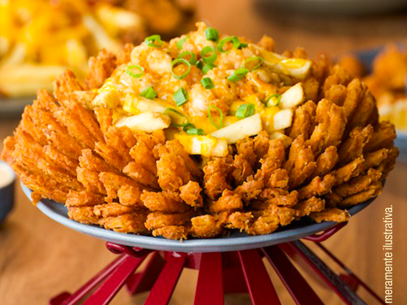 Uma grande porção de cebola frita empanada no formato de uma flor, a "Blooming Onion". O centro está recheado com batatas fritas cobertas por queijo derretido e cebolinha picada, em um prato com base vermelha.