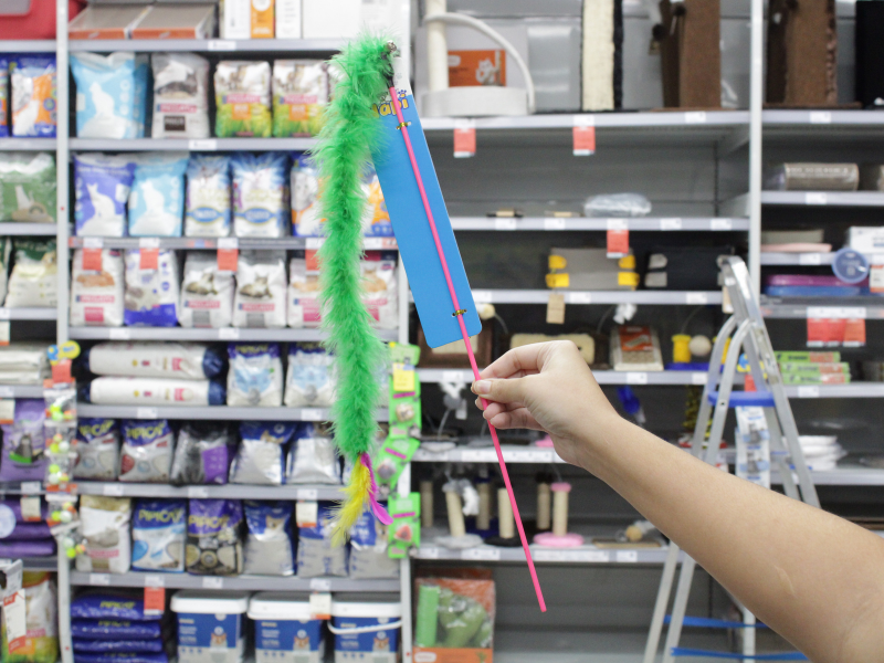 Foto: Camile Barros/RioMar Recife