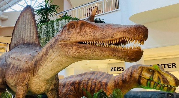 Acesso Dino Pass