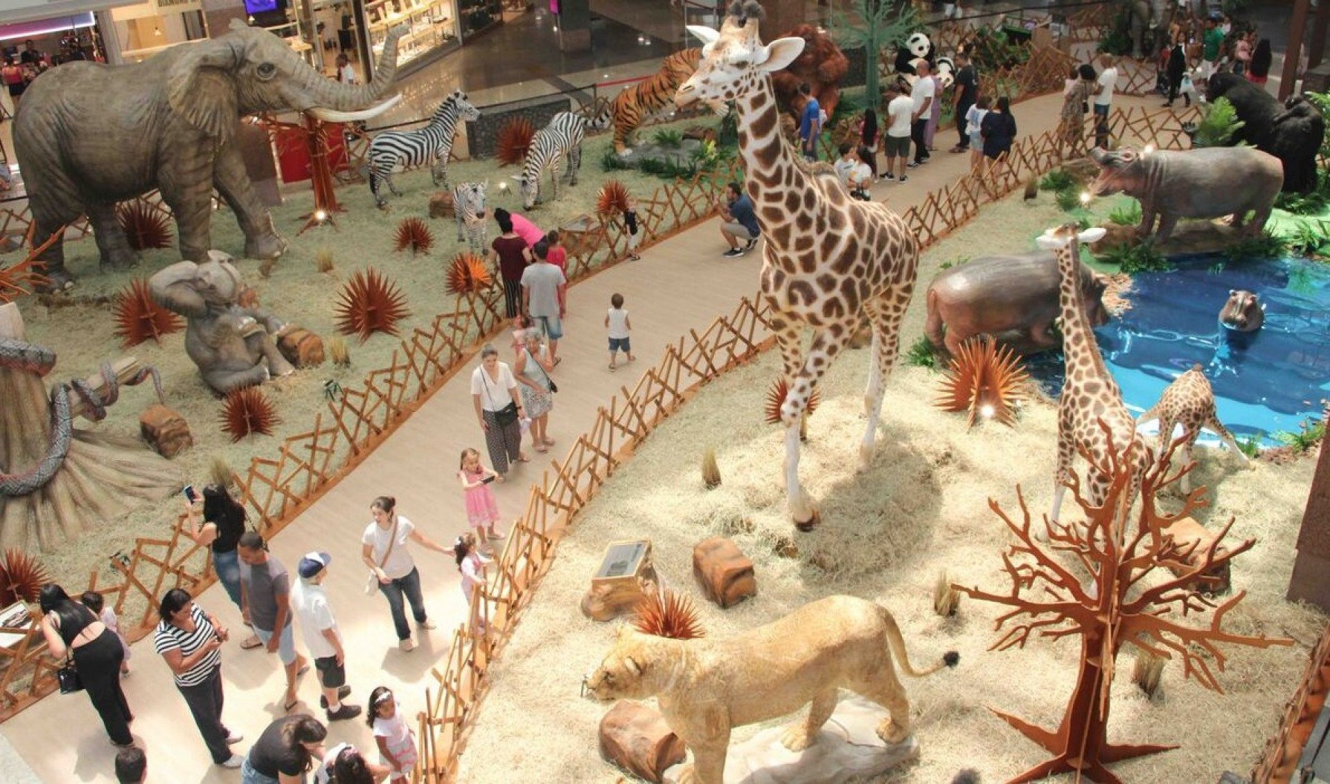 SmartZoo