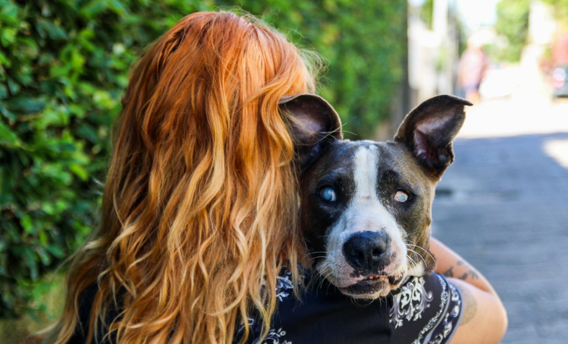 Mulher ruiva segurando um cachorro nos braços