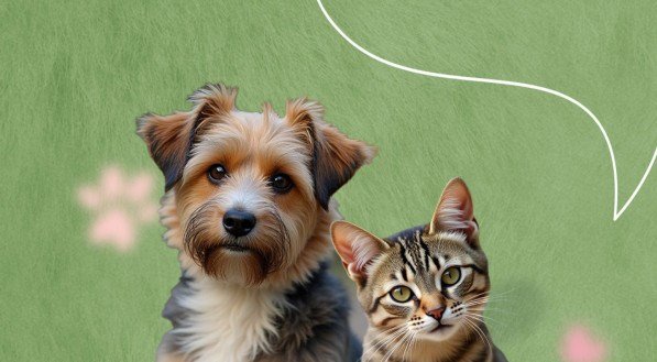Amigo Pet acontece em junho, no Shopping Jardins. 
