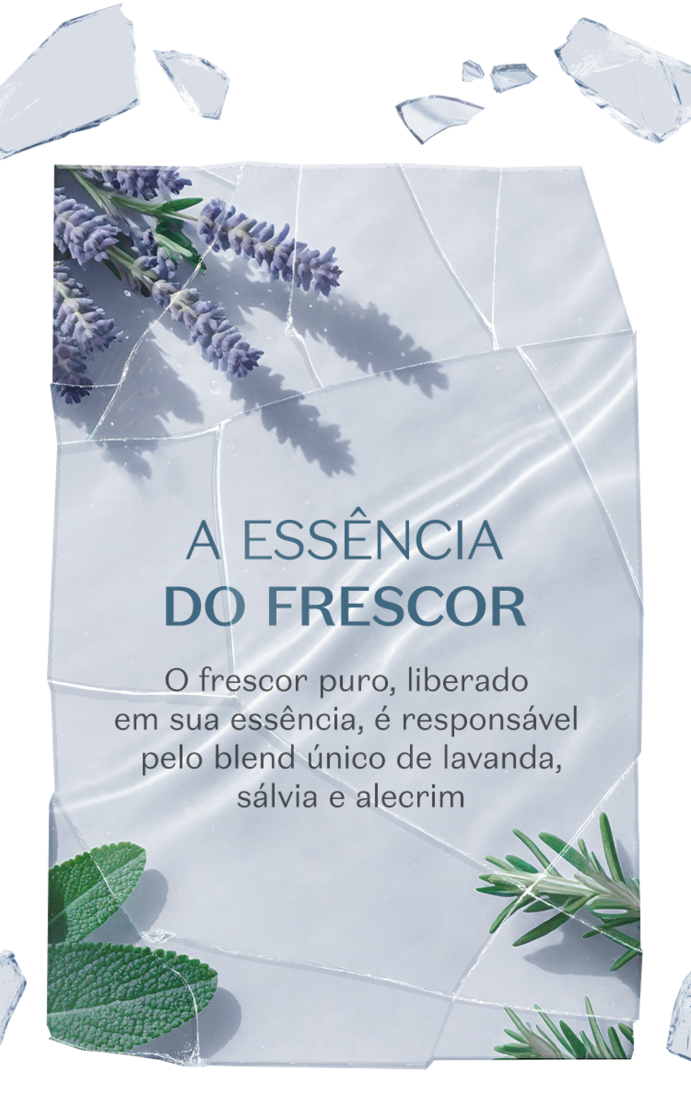 Clash/O Boticário