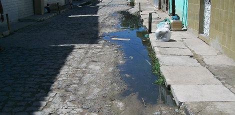 Mirtes de Lima