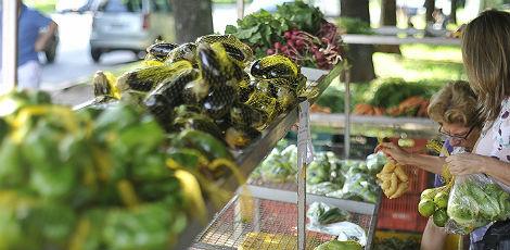 Investir em frutas, legumes e verduras não custa caro, afirma especialista