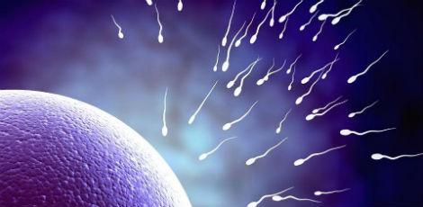 Espermatozoides podem apresentar dificuldade na capacidade de locomo&ccedil;&atilde;o