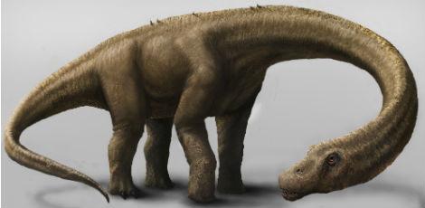 Os dinossauros foram extintos após a queda de um asteroide gigante na Terra