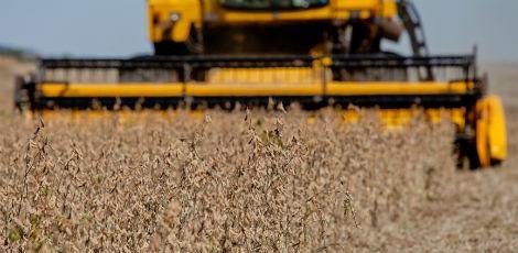 Foto da capa: Brasil