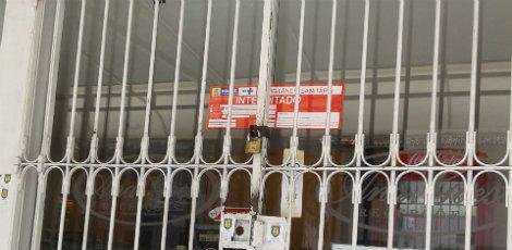 insetos