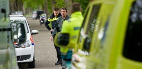 Dois tigres são capturados após escaparem de um refúgio para animais na Holanda