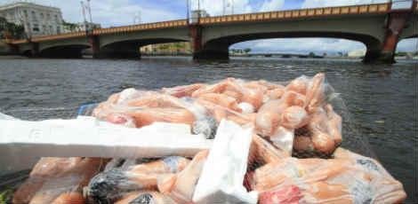 ponte maurício de nassau