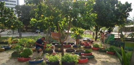 horta-comunitaria