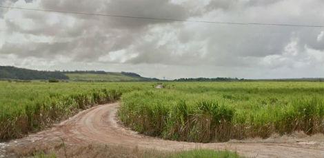 A expectativa é de que sejam colhidas 11,9 milhões de toneladas de cana-de-açúcar nesta safra em Pernambuco