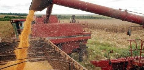 A agropecu&aacute;ria brasileira &eacute; um dos principais pilares da economia nacional