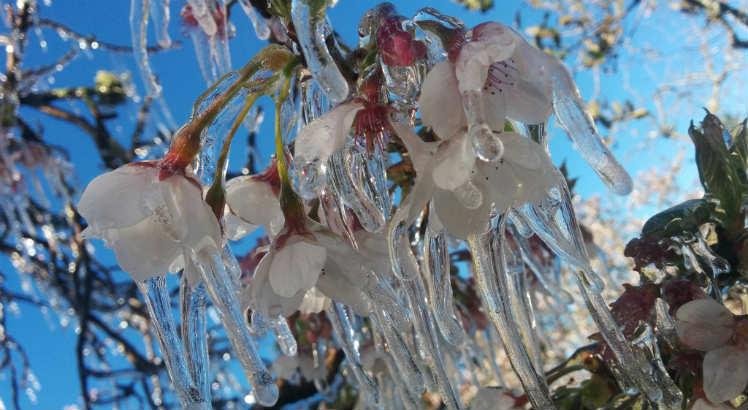 Com -8,8ºC, cidade de SC registra menor temperatura do ano no País
