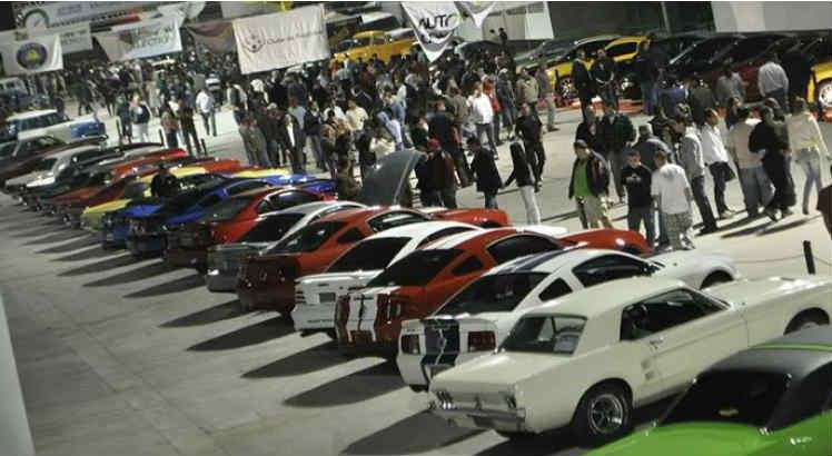 mustang