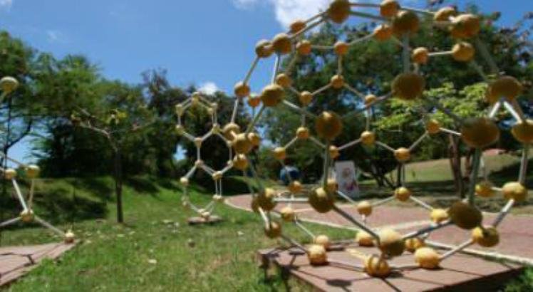 Moradores da Mustardinha participam de visitas e oficinas ecológicas
