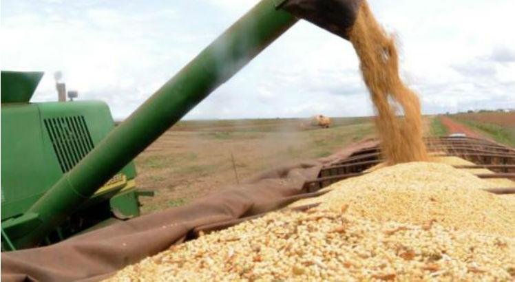 Agricultura estima em R$ 535,4 bi valor bruto da produção agropecuária