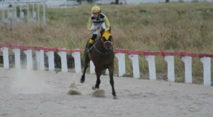 turfe