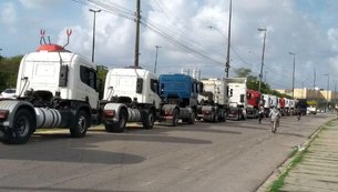cegonheiros