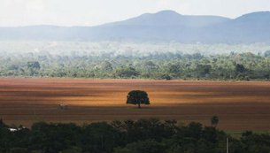 esfera