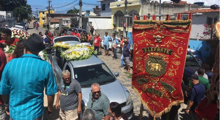 elefante-de-olinda