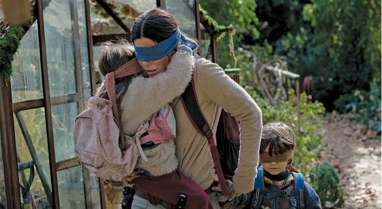 bird-box