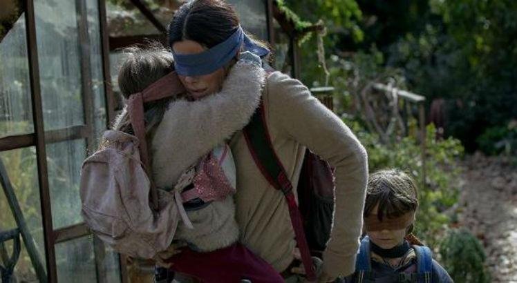 bird-box