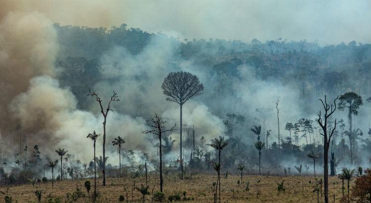 Segundo o Inpe, entre janeiro e dezembro do ano passado, a área com alertas de desmatamento na Amazônia foi de 9.166 km²