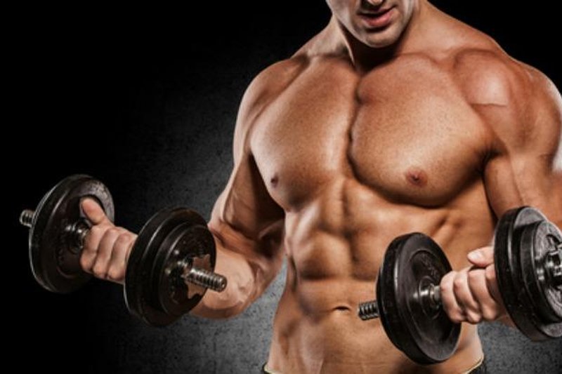 Exercícios como musculação são fundamentais para combater a perda progressiva de músculos a partir dos 40 anos