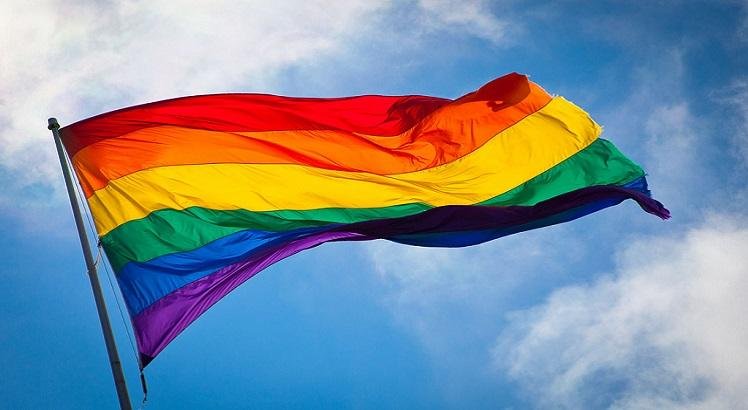 BANDEIRA LGBTQIA+: Nova Bandeira LGBTQIA+ é Lançada E Inclui Símbolos ...