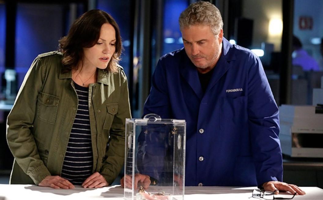 Os personagens Sara e Grissom retornam para o revival de CSI (Foto: Reprodução/Internet)