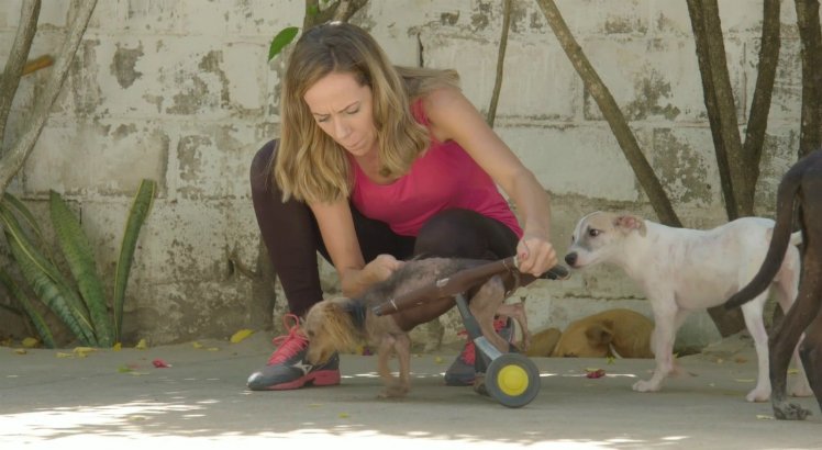 (Foto: Reprodução/ SBT Nordeste)