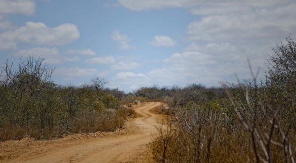 Floresta, no Sert&atilde;o de Pernambuco