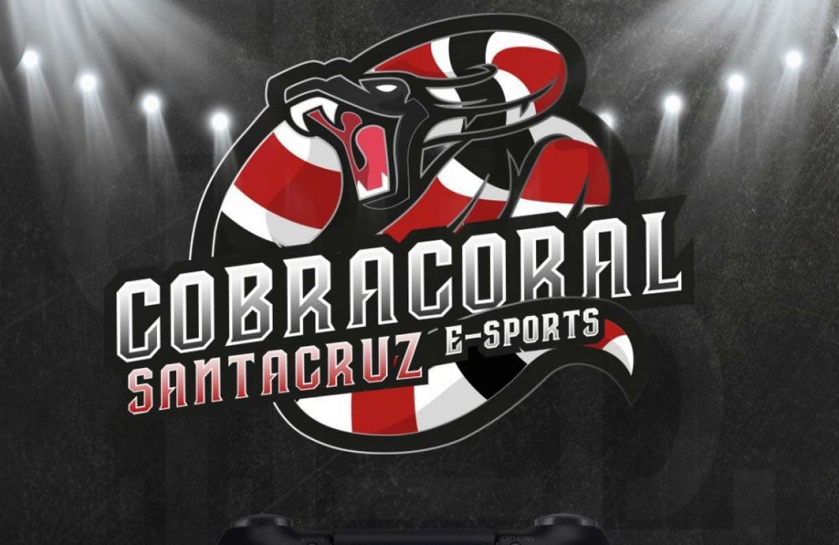 Feito inédito: Santa Cruz anuncia transmissão de amistoso pelo canal do  clube no  - Esportes DP