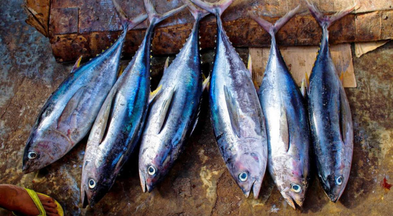 A enfermidade &eacute; causada pela contamina&ccedil;&atilde;o com uma toxina que se desenvolve em peixes que n&atilde;o s&atilde;o bem armazenados em temperaturas adequadas