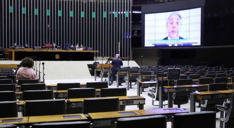 NAJARA ARA&Uacute;JO/C&Acirc;MARA DOS DEPUTADOS