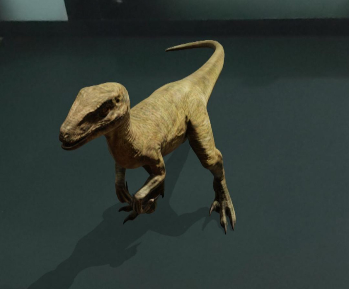 Tem até dinossauro! Veja como pôr animais em 3D na sala usando o celular -  22/07/2020 - UOL TILT
