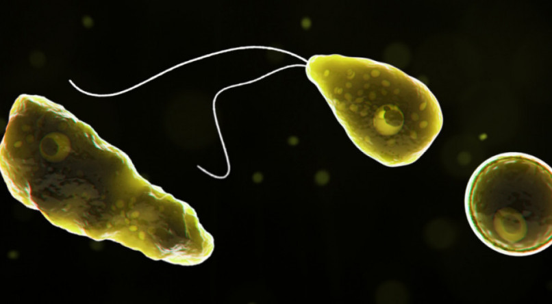 David Pruitt desenvolveu meningoencefalite amebiana prim&aacute;ria (PAM) - doen&ccedil;a causada por um parasita, conhecido popularmente como &quot;ameba comedora de c&eacute;rebro&quot;.