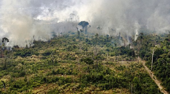 Amazônia registra alta de 298% de focos de incêndio em um ano