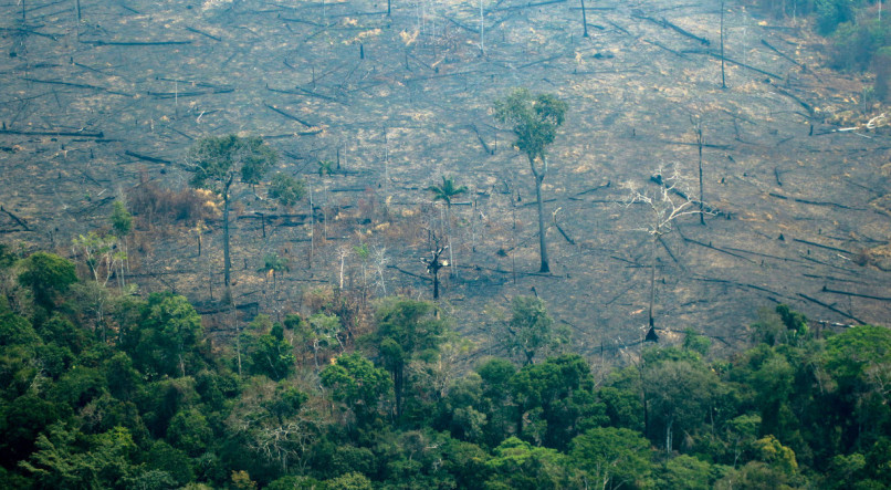  o desmatamento na Amaz&ocirc;nia aumentou desde que o presidente Jair Bolsonaro assumiu o cargo, em 2019
