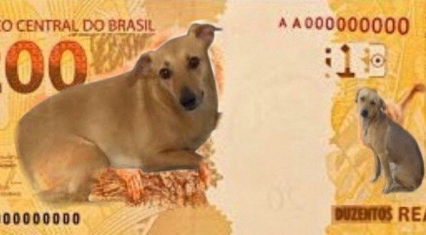 Banco Central está avaliando colocar vira-lata Caramelo na nota de R$ 200
