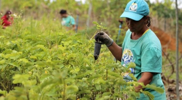Nordeste teve maior índice de sindicalização em 2019, superando o Sul