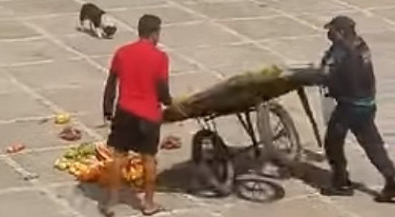 REPRODU&Ccedil;&Atilde;O