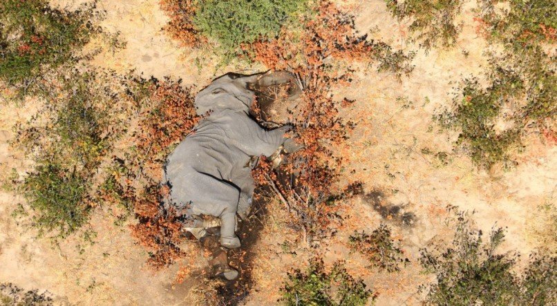 NATIONAL PARK RESCUE / AFP